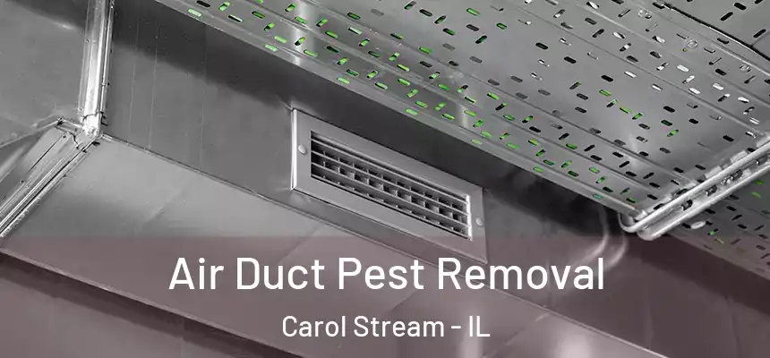 Air Duct Pest Removal Carol Stream - IL