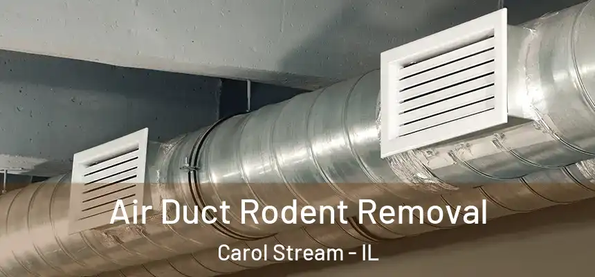 Air Duct Rodent Removal Carol Stream - IL