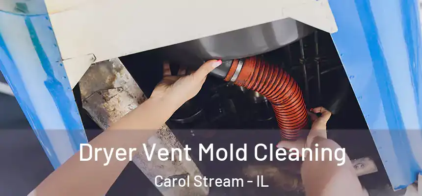  Dryer Vent Mold Cleaning Carol Stream - IL