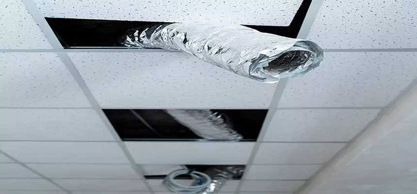 Our Air Duct Pet Hair Removal Services in Carol Stream, IL