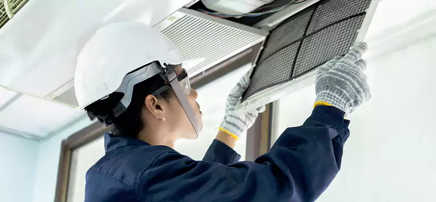 Our Mold & Mildew Removal from Air Ducts Services in Carol Stream, IL