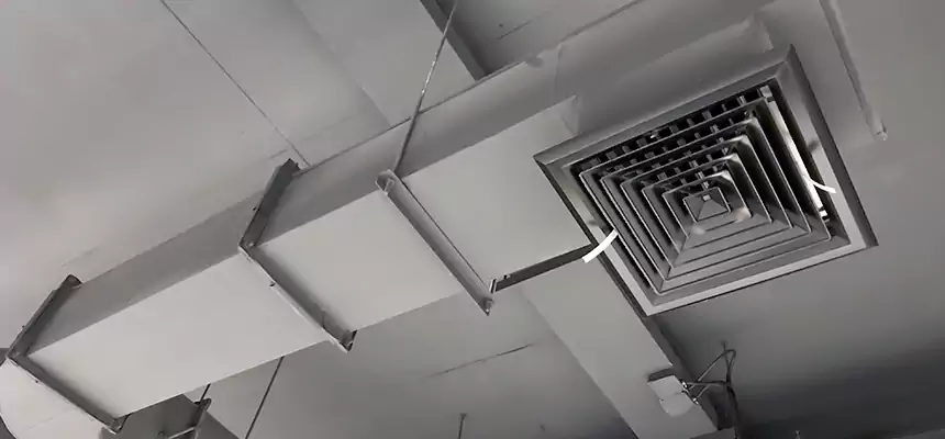 Our Pest Removal From Ducts Services in Carol Stream, IL