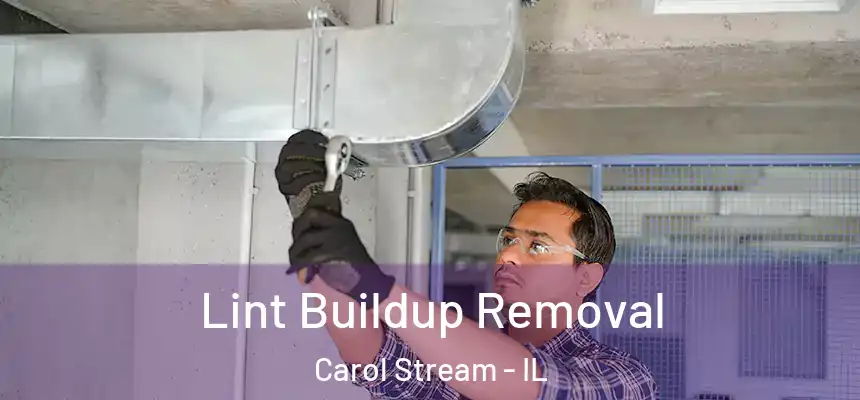 Lint Buildup Removal Carol Stream - IL