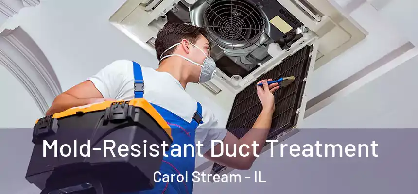 Mold-Resistant Duct Treatment Carol Stream - IL