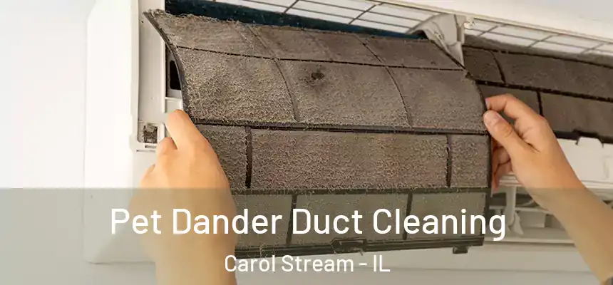  Pet Dander Duct Cleaning Carol Stream - IL