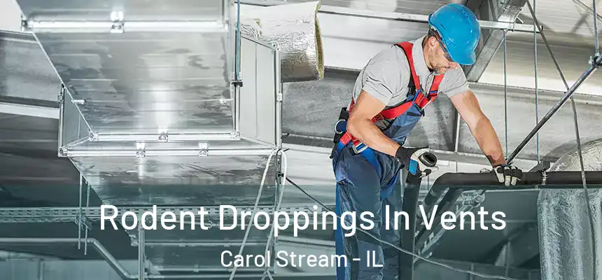  Rodent Droppings In Vents Carol Stream - IL