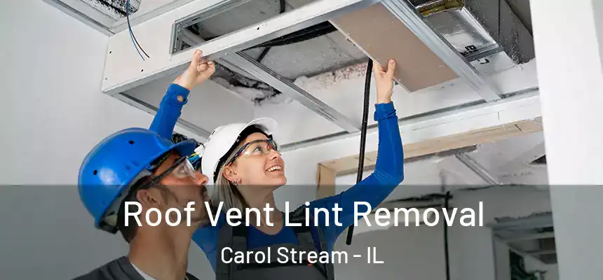 Roof Vent Lint Removal Carol Stream - IL