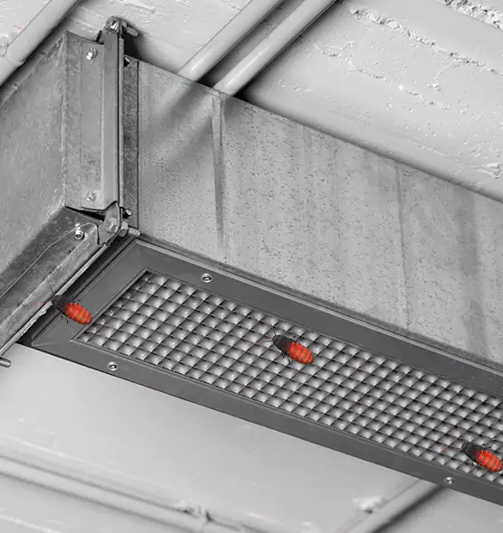 About Air Duct Cockroach Removal in Carol Stream, IL