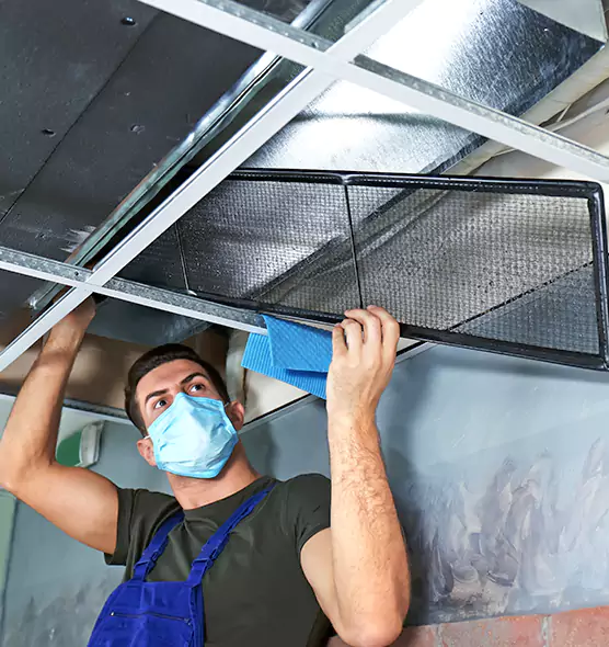 Professional Air Duct Pollen Cleaning in Carol Stream, IL