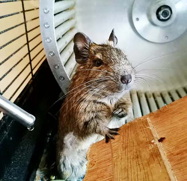 Why Homeowners & Businesses Trust Us Carol Stream, IL?