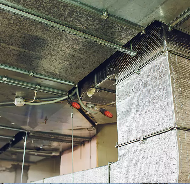 Why Homeowners & Businesses Trust Us Carol Stream, IL?