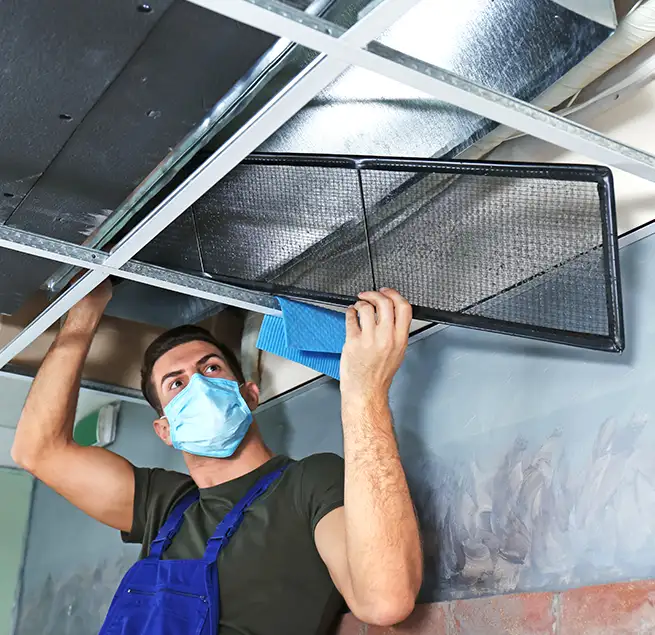 Why Homeowners & Businesses Trust Us in Carol Stream, IL?